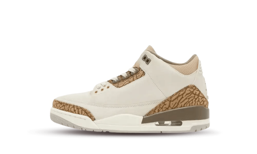 Jordan 3 Retro Palomino (GS)