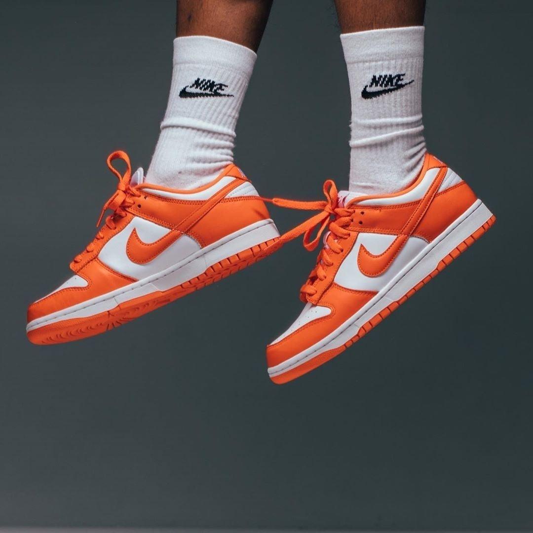 Nike Dunk Low SP 